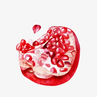 手绘红色剥开的石榴矢量图免抠