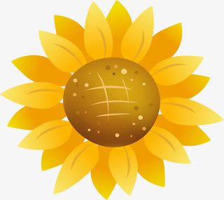 向日葵唯美花朵图免抠