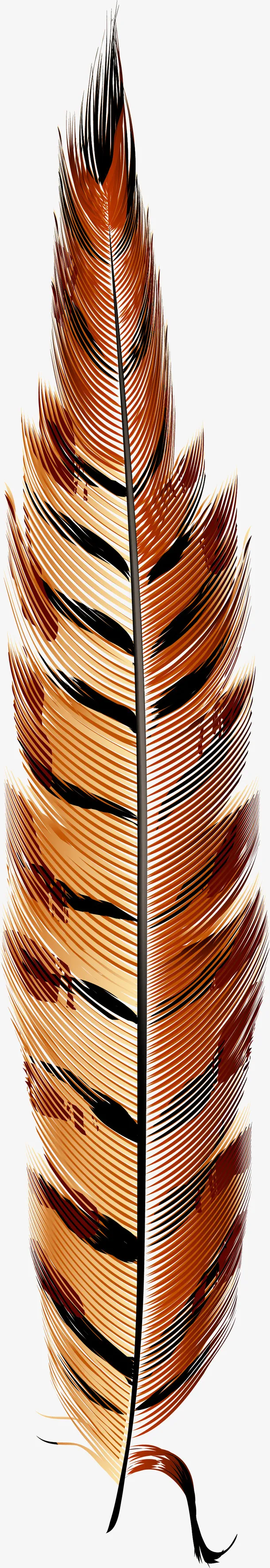 卡通水彩羽毛免抠png装饰免抠