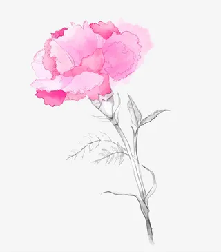 手绘水彩淡雅气质装饰插图母亲节免抠