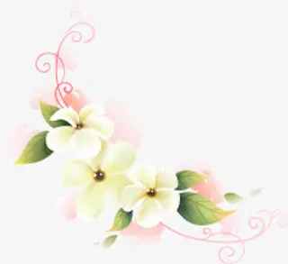 绿叶白色小花粉色线条免抠