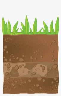 手绘土地植物横切面免抠