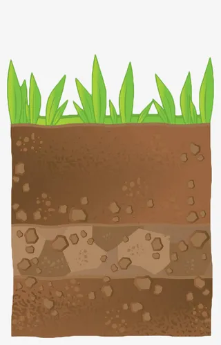 手绘土地植物横切面免抠