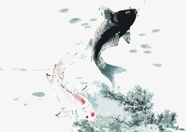 国画锦鲤免抠