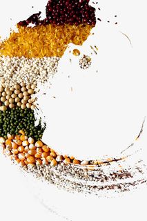 五谷杂粮彩色水墨笔刷免抠