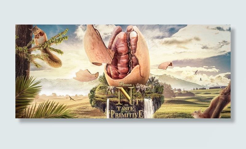 卡通坚果背景banner高清