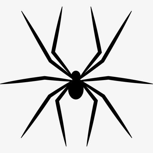 蜘蛛图标免抠
