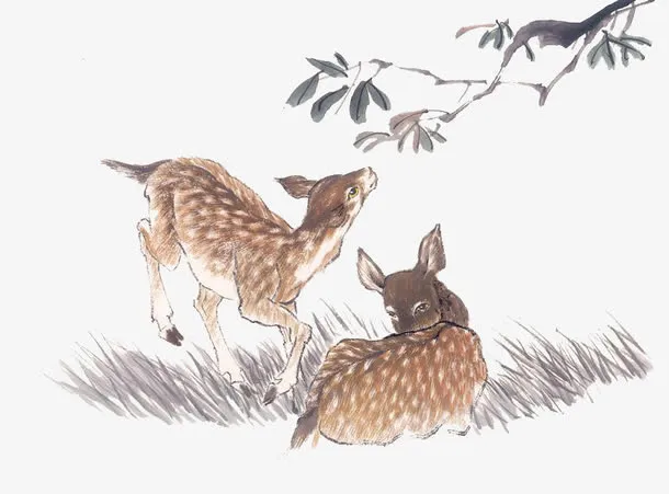 一对可爱的小鹿免抠