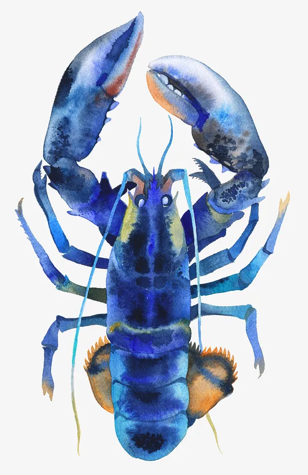 蓝色深海龙虾图案免抠