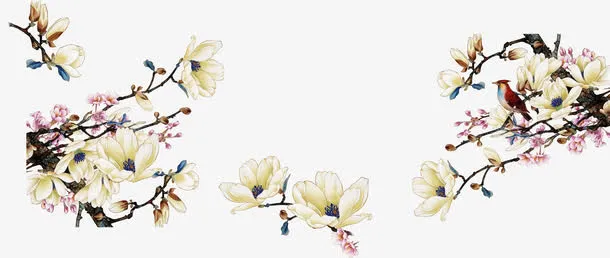 中国风格梅花素材免抠