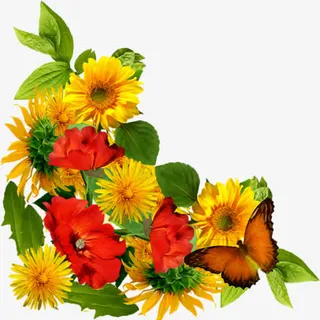 黄色菊花侧边装饰免抠