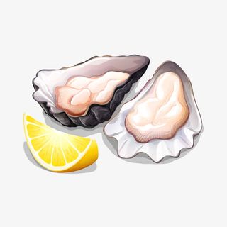 精美海鲜矢量元素免抠