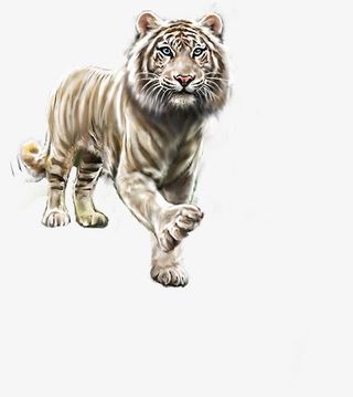 手绘老虎动物海报免抠
