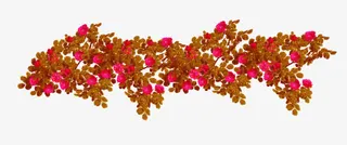 情人节花语世界花墙免抠