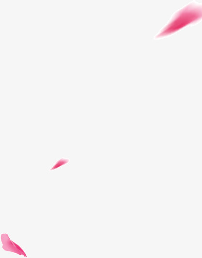 飞舞的花瓣免抠