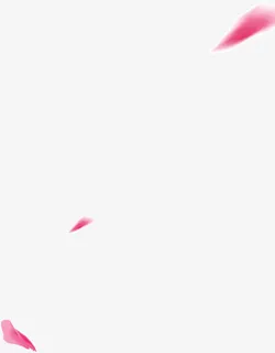 飞舞的花瓣免抠