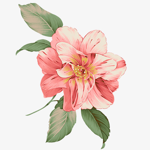 春天的气息，粉色的花卉免抠