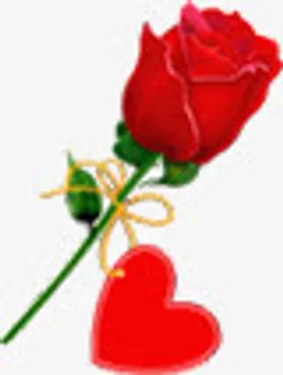 手绘红色玫瑰爱心免抠