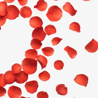 大红唯美花瓣设计元素免抠