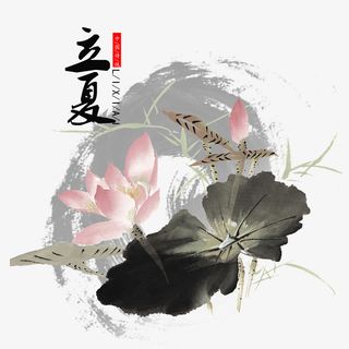 立夏荷花标签背景装饰