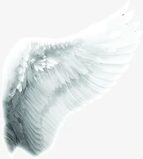白色翅膀唯美背景