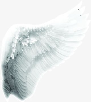 白色翅膀唯美背景
