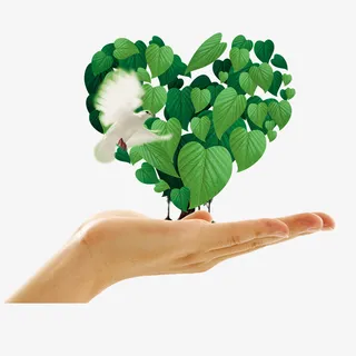 手上的绿叶免抠