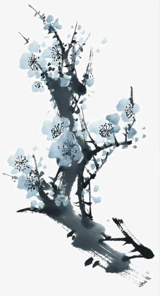 腊梅花免抠