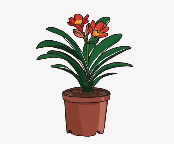 矢量一盆花免抠