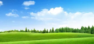 绿色风景草地林海背景高清