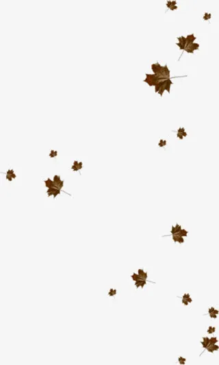 落叶素材免抠