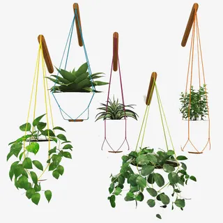 多彩绳子吊篮花免抠