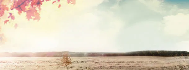 唯美背景海报