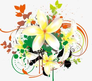 鸡蛋花 花瓣免抠