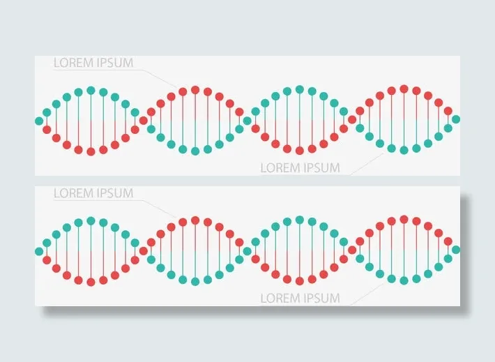 矢量手绘DNA排列免抠