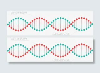 矢量手绘DNA排列免抠
