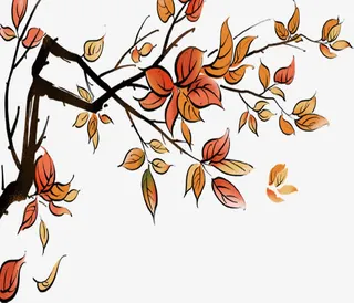 手绘水彩树叶树枝免抠