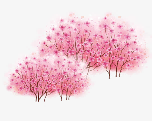 樱花树免抠