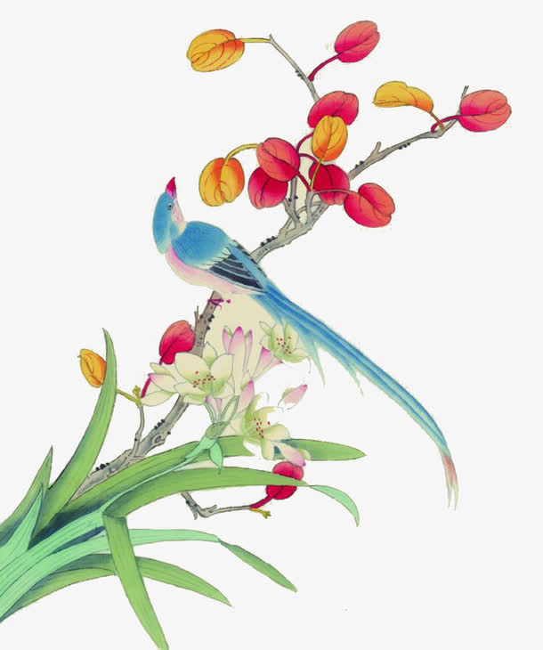 工笔画鸟与花朵素材图片免抠