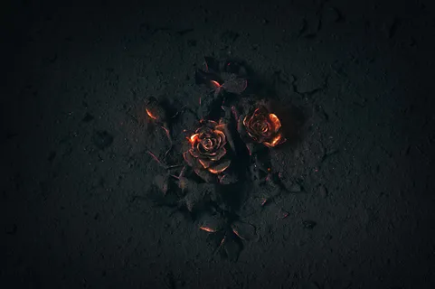 灰烬的地面上燃烧的玫瑰花背景素材高清 灰烬的地面上燃烧的玫瑰花背景素材高清