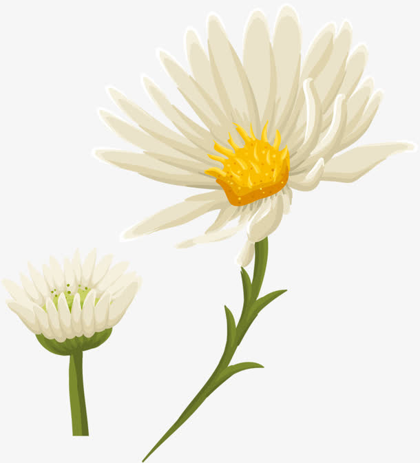 两点小白花免抠
