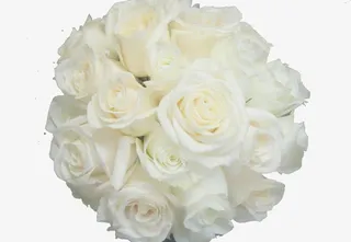 白玫瑰花花束素材背景