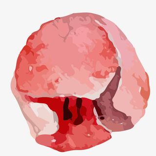 手绘 水彩 优化风格 唯美 花免抠