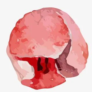 手绘 水彩 优化风格 唯美 花免抠