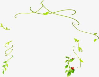 绿色藤蔓绿叶免抠