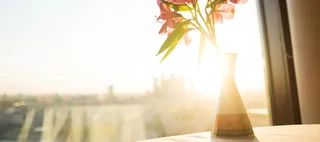 秋季家居窗台文艺背景高清