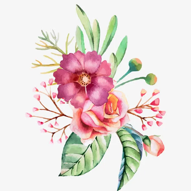 手绘水彩花朵花草装饰图案免抠