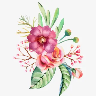 手绘水彩花朵花草装饰图案免抠 手绘水彩花朵花草装饰图案免抠