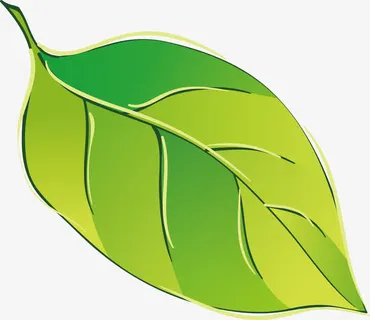 树木树叶免抠 树木树叶免抠