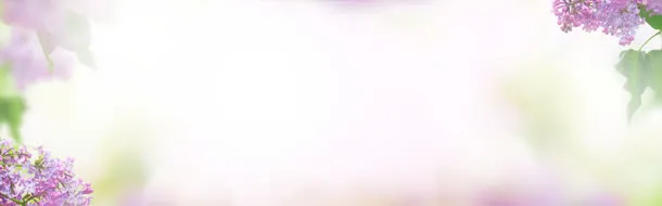淘宝女装专用创意banner设计